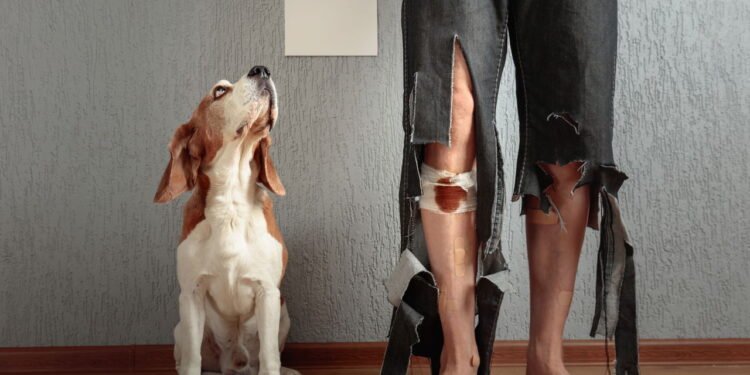 O que significa quando alguém não gosta de cachorros? // Créditos: depositphotos.com / igorr1