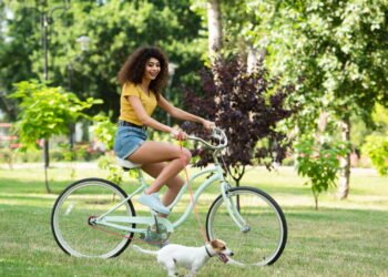 Dicas para introduzir o pet no universo dos passeios de bicicleta