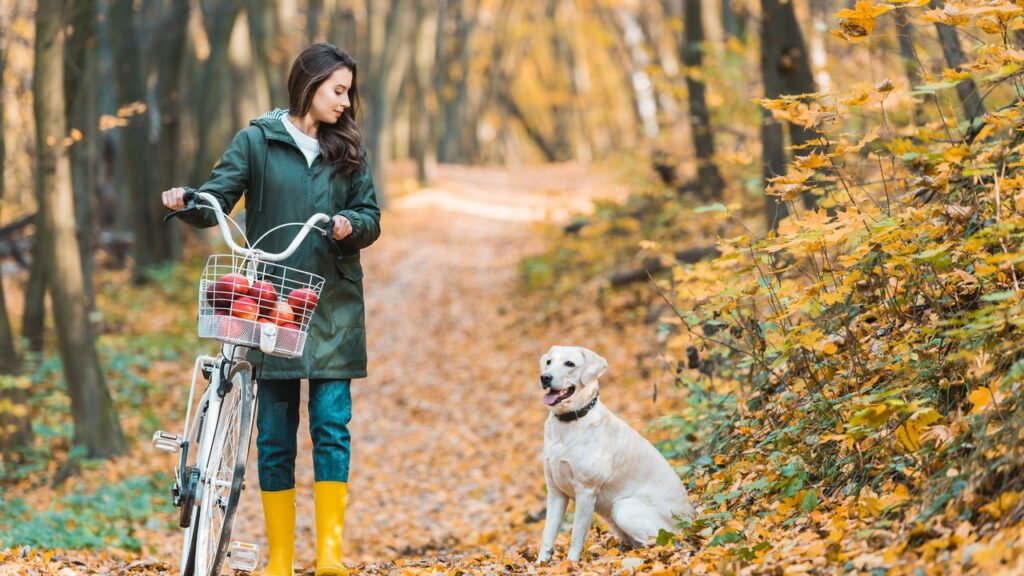 Dicas para introduzir o pet no universo dos passeios de bicicleta