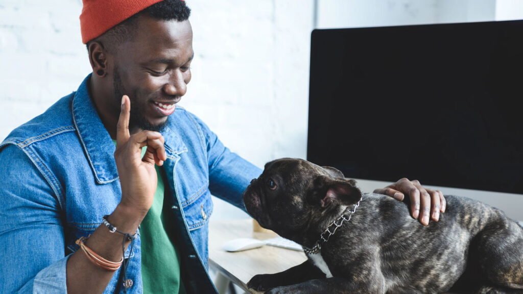 Se você fala com seus animais de estimação como humanos, a psicologia diz que você provavelmente tem essas 7 características distintas