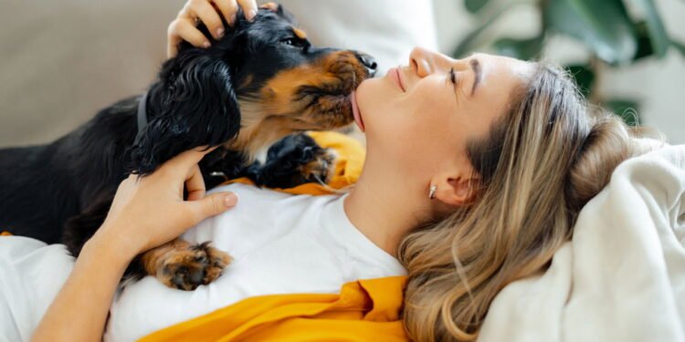 A psicologia secreta de cães e gatos: será que alguma vez sabemos realmente o que eles estão pensando?