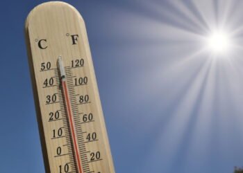A onda de calor está causando isso no cérebro das pessoas e ninguém notou