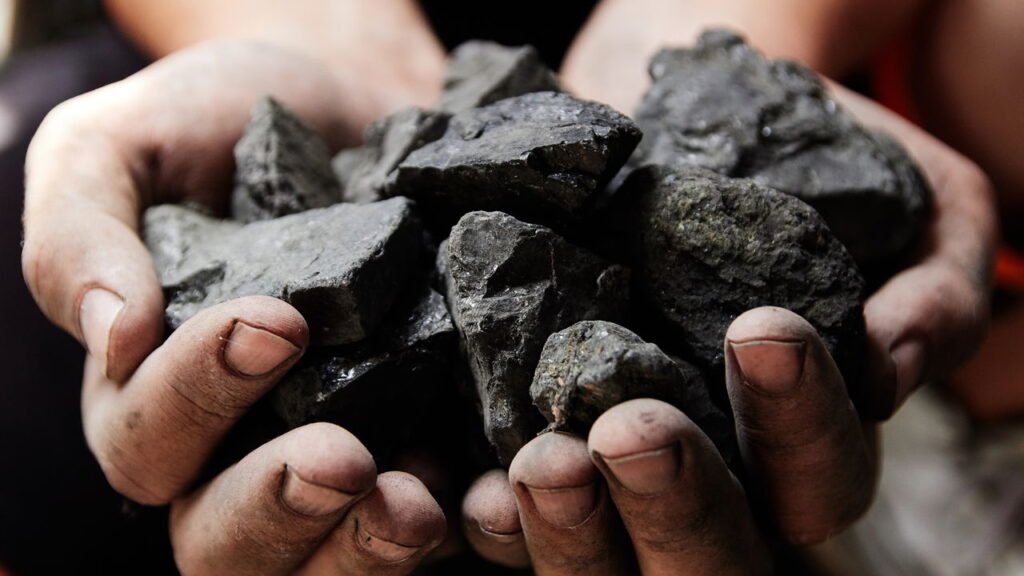 Poucos sabem: por que você deve colocar um pedaço de carvão na gaveta de vegetais