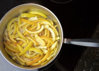 Não é por causa do aroma: por que eles recomendam colocar cascas de limão dentro de uma jarra