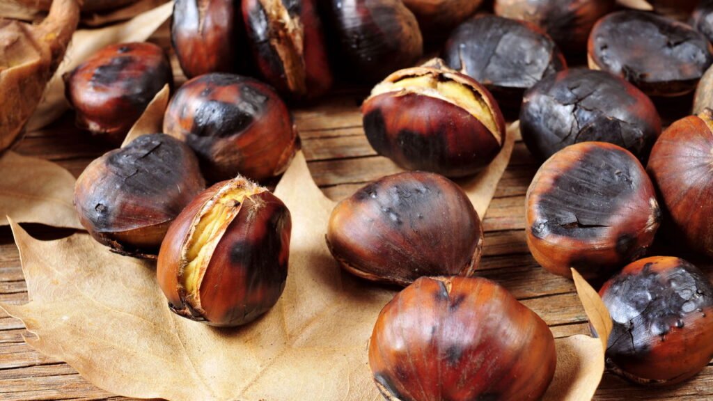 Os benefícios de trocar lanches não saudáveis por simples castanhas