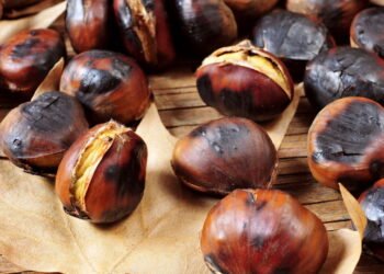 Os benefícios de trocar lanches não saudáveis por simples castanhas