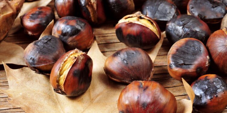 Os benefícios de trocar lanches não saudáveis por simples castanhas