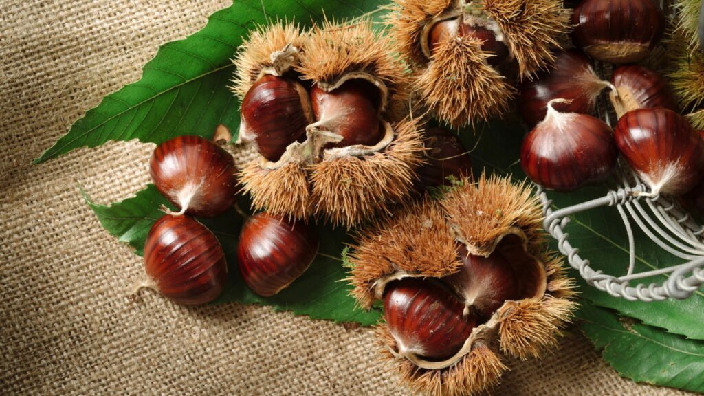 Os benefícios de trocar lanches não saudáveis por simples castanhas