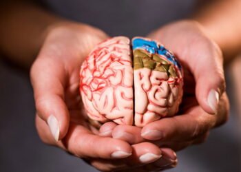 Cientistas descobriram uma proteína que faz o cérebro envelhecer mais rápido