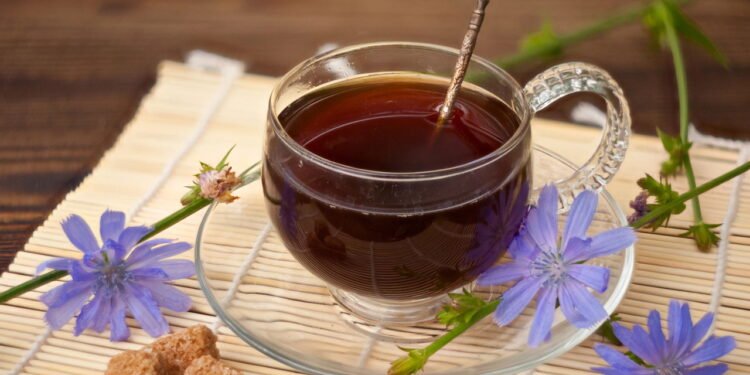 As propriedades curativas do chá de almeirão para o fígado são notáveis e cientificamente reconhecidas - Créditos: depositphotos.com / Solstzia