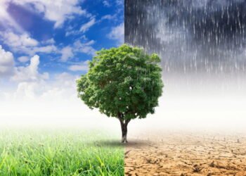 Especialistas revelam riscos inéditos do clima seco no país