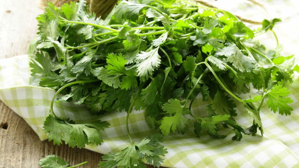 A erva que está associada à redução da inflamação, menor ansiedade e redução do açúcar no sangue