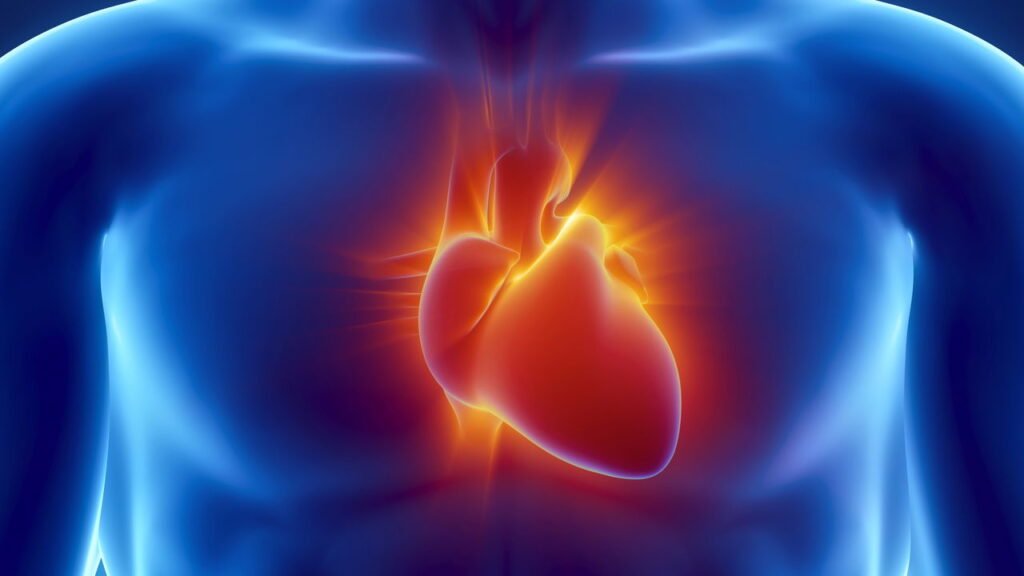 Seu coração é mais velho que você? Sua ‘idade cardíaca’ pode prever risco de derrame