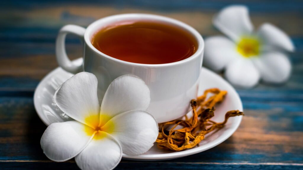 Suplemento natural que melhora energia e resistência física ao longo do dia