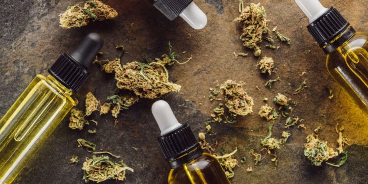 Esta erva pode melhorar a função cerebral, reduzir o estresse e até reduzir a inflamação