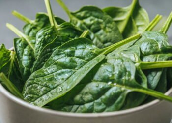 Comer este vegetal pode reduzir o risco de demência, segundo nutricionistas