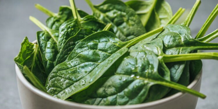 Comer este vegetal pode reduzir o risco de demência, segundo nutricionistas