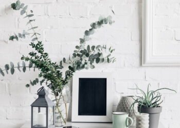 Novo hábito famoso melhora a qualidade do ar e ajuda na sua saúde