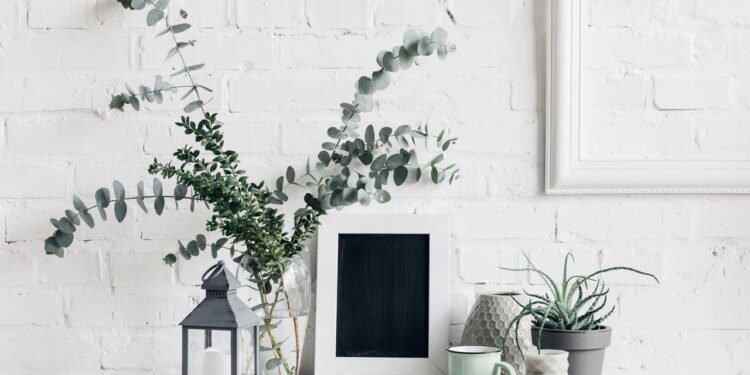 Novo hábito famoso melhora a qualidade do ar e ajuda na sua saúde