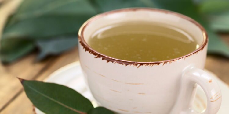 Propriedade anti-inflamatória que acalma a irritação - Créditos: depositphotos.com / ildi_papp