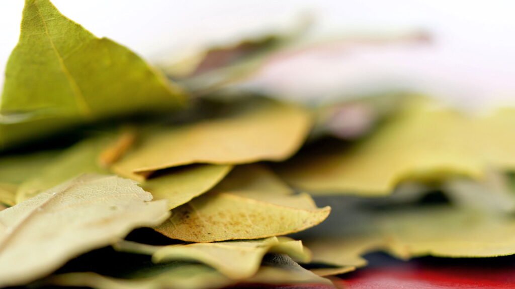 Qual é o ritual de queimar folhas de louro para atrair dinheiro em agosto, segundo o Feng Shui