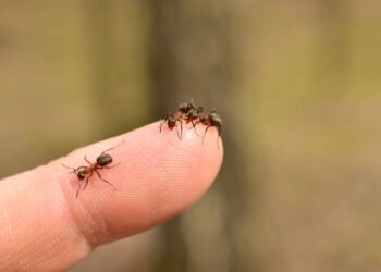 O que significa sentir formigamento no corpo de acordo com a ciência