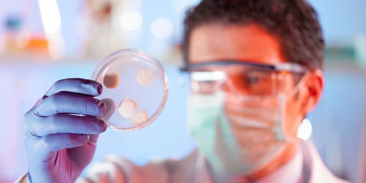 Fungos - Créditos: depositphotos.com / kasto