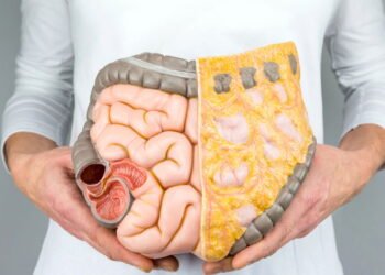 Como seu intestino influencia seu humor no dia a dia?