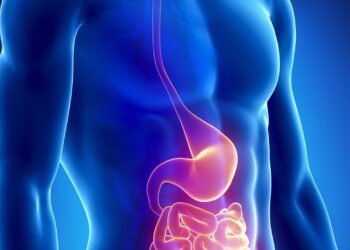 Como o intestino pode influenciar seu humor no dia a dia