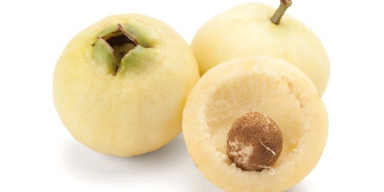 Jambo - Créditos: depositphotos.com / sriharun