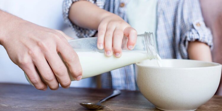 Cientistas testaram 4 tipos de leite e este se destacou pelos benefícios para a saúde muscular e intestinal