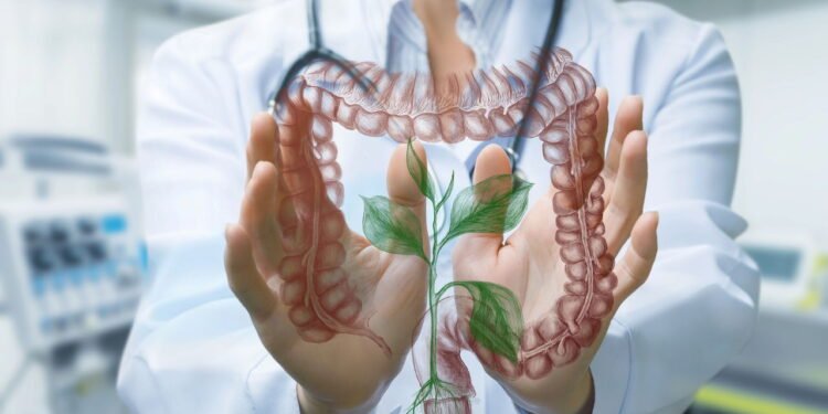 O chá noturno que cuida da flora intestinal e previne inchaço