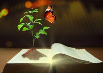 Planta poderosa usada na antiguidade para tratar feridas de guerra