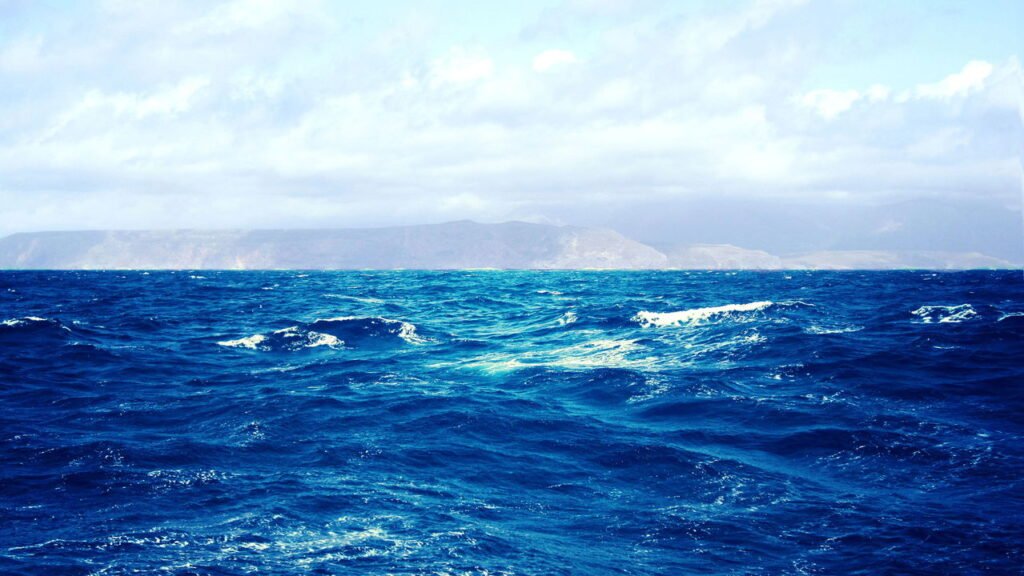 Se você tem medo de águas profundas, provavelmente exibe essas 6 características, diz um psicólogo