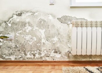 Adeus ao molde na parede: como evitá-lo de forma rápida e fácil