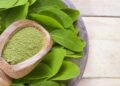 Benefícios e desvantagens de consumir moringa em pó