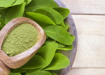 Benefícios e desvantagens de consumir moringa em pó