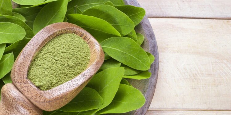 Um dos principais benefícios do pó de moringa é a melhoria dos níveis de energia no corpo - Créditos: depositphotos.com / CUNDO