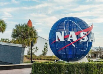 As 3 plantas poderosas que purificam o ar do seu lar segundo a NASA