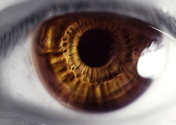 Somente pessoas de olhos castanhos conseguem ver isso, entenda por quê