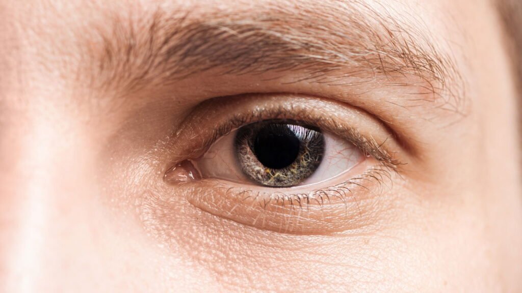 Seus olhos podem estar avisando sobre câncer, diabetes e outras doenças