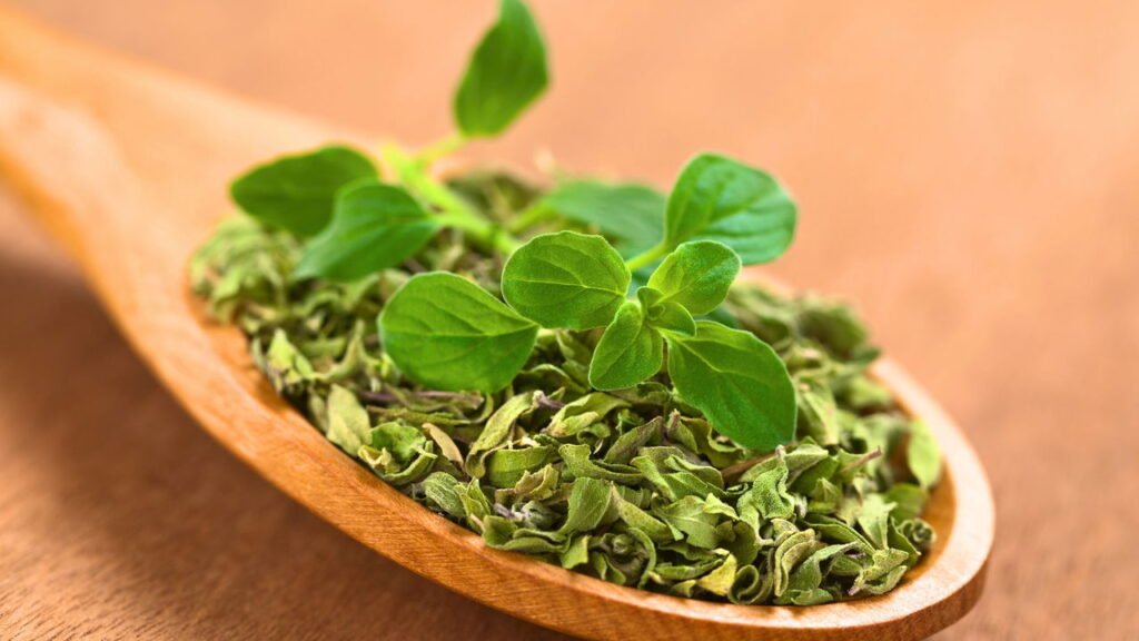 Por que você deveria colocar orégano na cama, segundo o Feng Shui