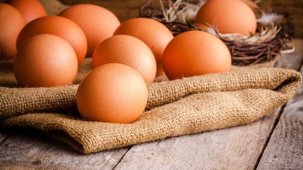 Os ovos são responsáveis pelo "colesterol ruim"? Um novo estudo australiano desmente equívocos comuns