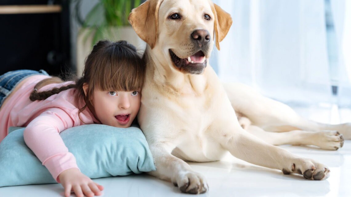 As 5 melhores raças de cachorros para crianças e sua convivência ...