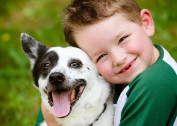 O que significa quando alguém ama muito animais?