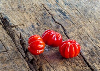 A fruta brasileira que pode transformar sua saúde de forma natural