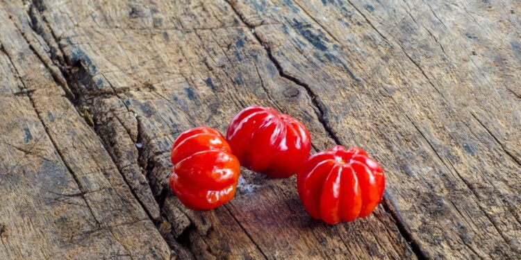 Pitanga - Créditos: depositphotos.com / losak.napior