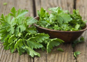 Planta poderosa que combate inflamação e protege seus rins