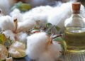 Óleo de semente de algodão e seu poder contra o colesterol alto