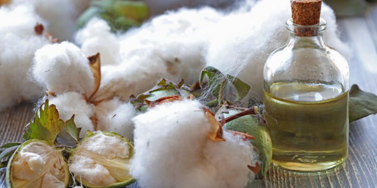 Potencial para o desenvolvimento de novos alimentos - Créditos: depositphotos.com / mylasa